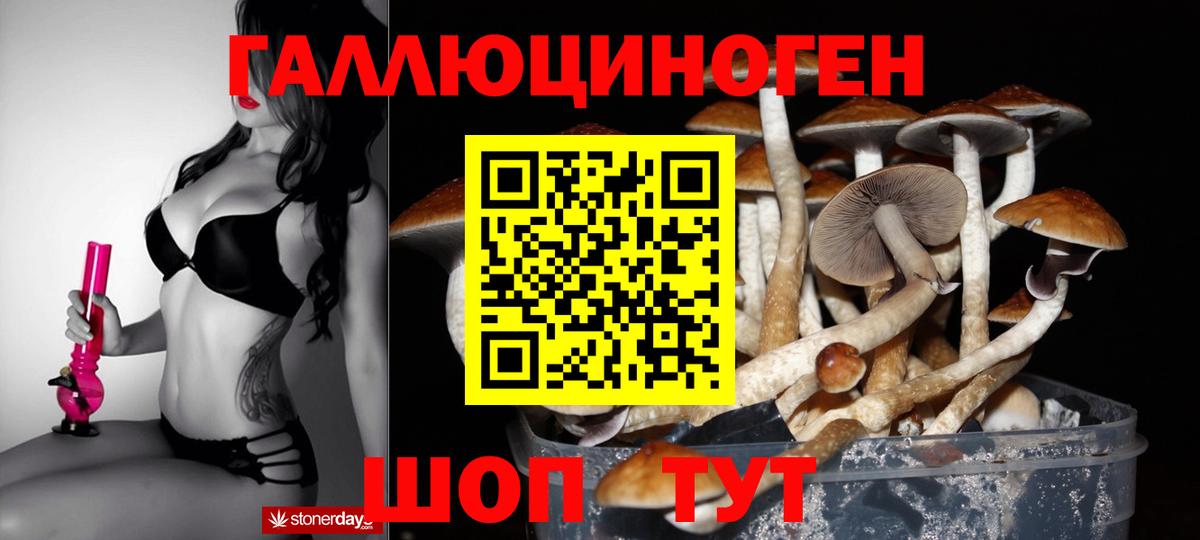 Псилоцибиновые грибы Psilocybe Якутск